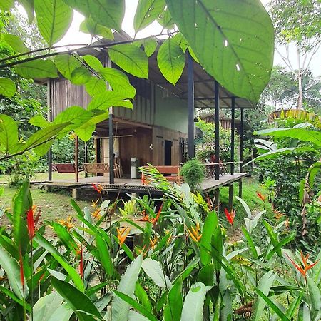 Amazona Lodge Leticia Luaran gambar