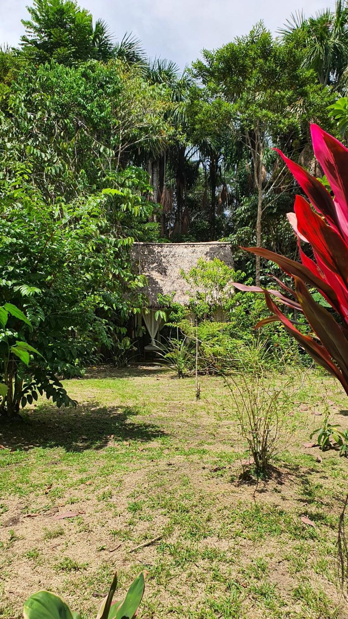Amazona Lodge Leticia Luaran gambar
