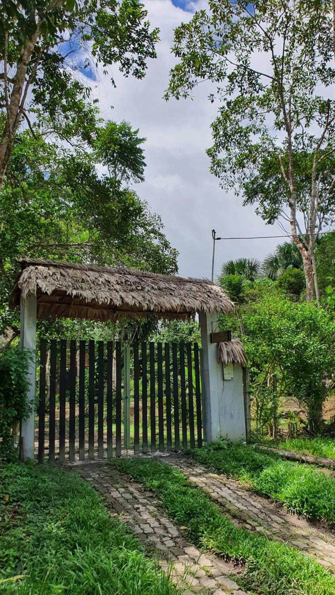 Amazona Lodge Leticia Luaran gambar