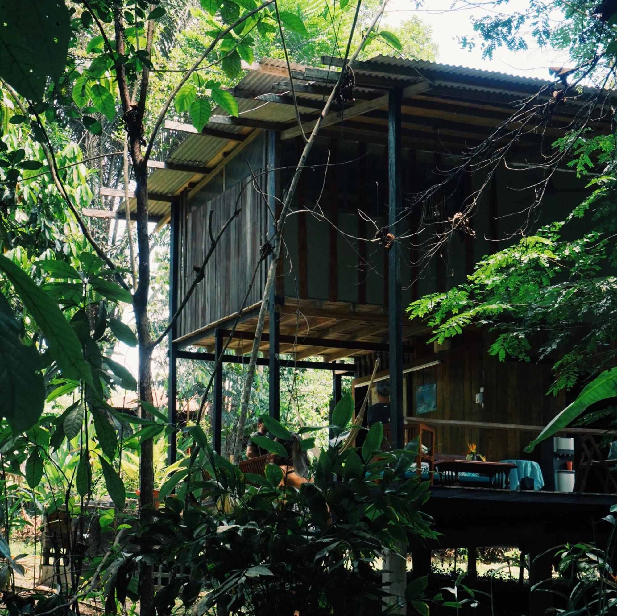 Amazona Lodge Leticia Luaran gambar
